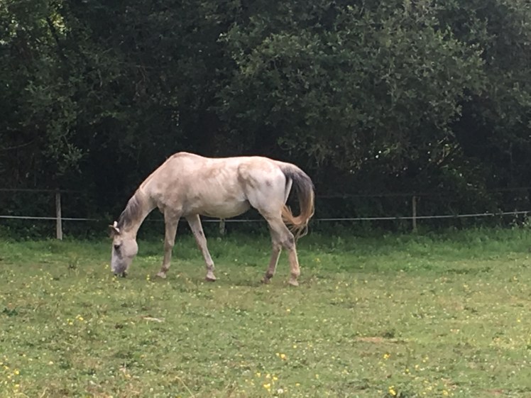 55A16A57-6359-403A-9914-7DC1EDFA5FE3