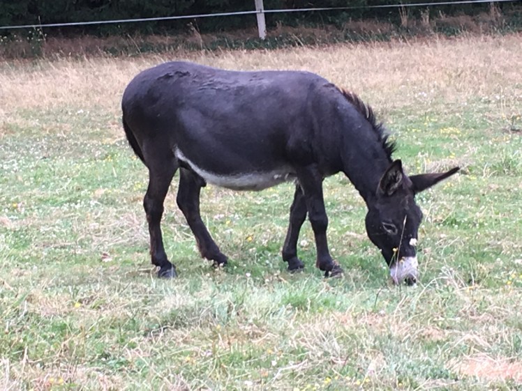 5CD7D7DE-D8C1-45FE-839A-C7C43314172D