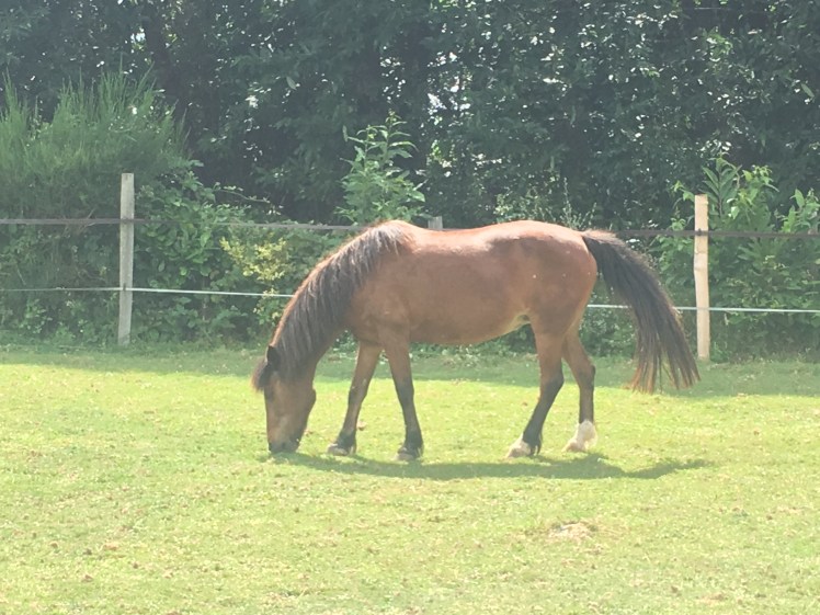 5EBF96D3-F279-4123-9DE3-6CB5B5C163AA