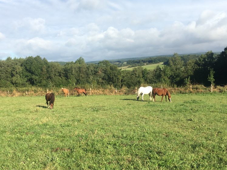 65FAB44B-91C0-4963-BC7F-4408D76A468A