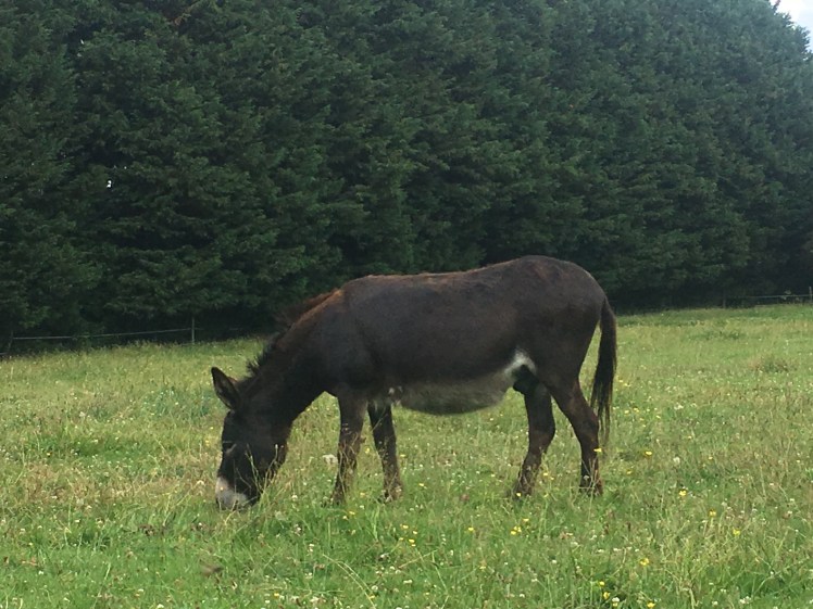 6B894D67-D6E8-4B06-AF2F-B21E4CC8DDBC