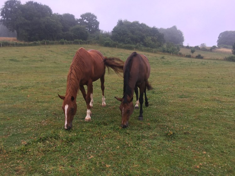 7631EAEC-3207-4DAE-9EB5-2E8517FDFB5E