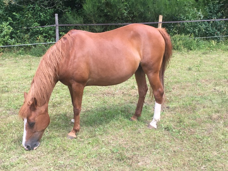 7BBDC2FA-4C78-4DBB-992C-3EF6A83880EC