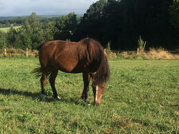 7E892233-7E0E-4244-8ADF-F44F3AF5A7D7