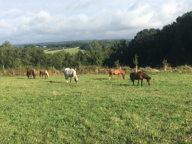 88CF0752-D408-437C-B481-CF92DDE2DDF2