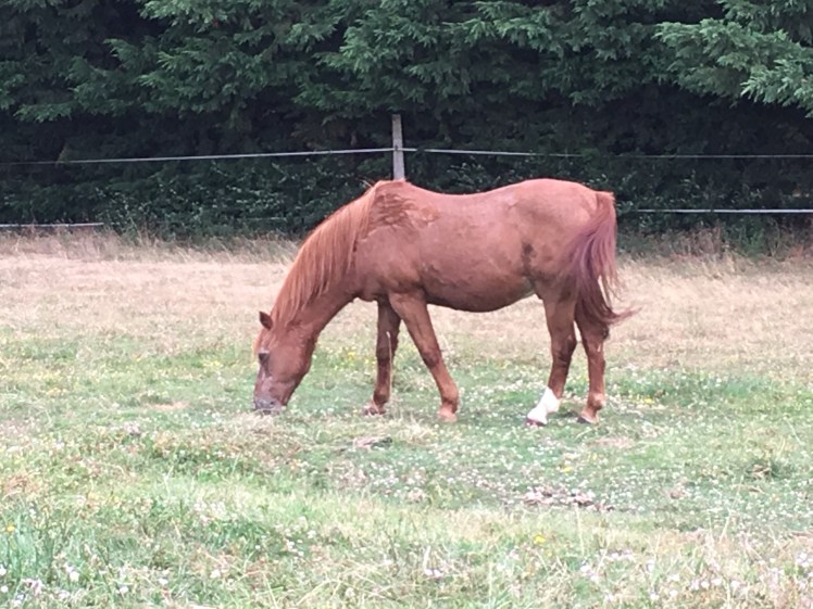 8A733DF3-CD9C-469A-A61C-A5CB6C9D2295