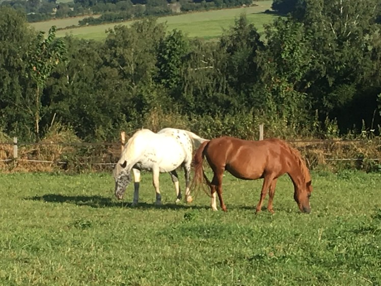 A22C4356-E99D-4860-B5BE-02179409DAD8