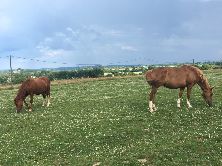 B85ED853-D423-49D4-963F-75C8C4AE6EAB