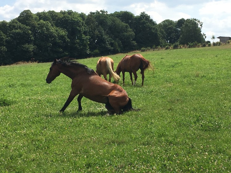 BBEC1622-4EEA-4BE9-BCB9-0F65A4BFA6F2