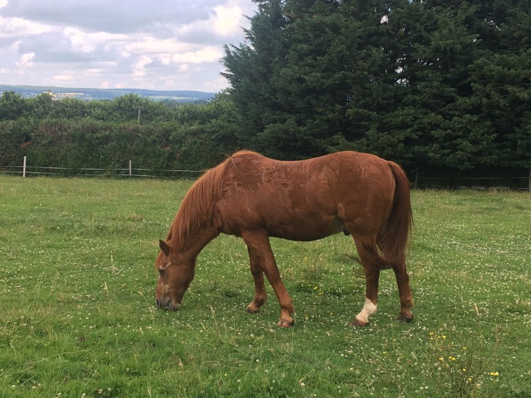 C6B7E1CD-738A-4FBB-9420-33D8AC8CFC63