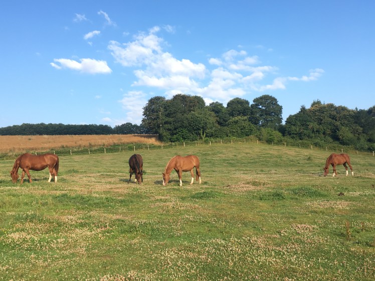 C902E301-9B08-4DAA-80F7-2211B18BFE76