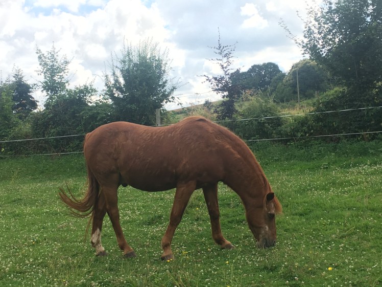 CA7D8F29-8053-475A-84BD-C469E8DA2DD9