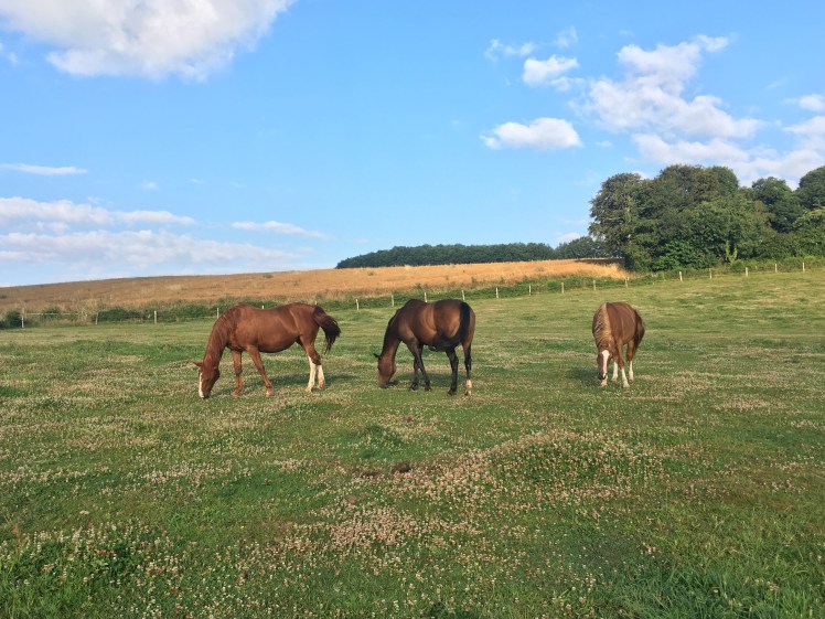 D15E0BA5-F827-4ECE-901E-597209484B2F