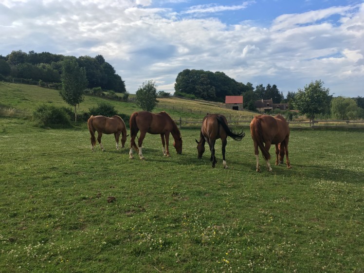 DCB8D2F7-747D-445A-A454-A5FD234ADF16