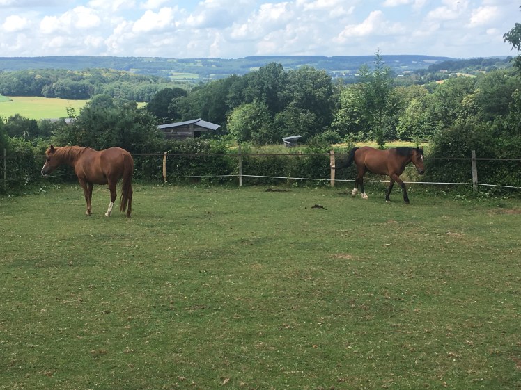 DF904469-2BB0-4EB0-B9DD-B2D8B3A11D47