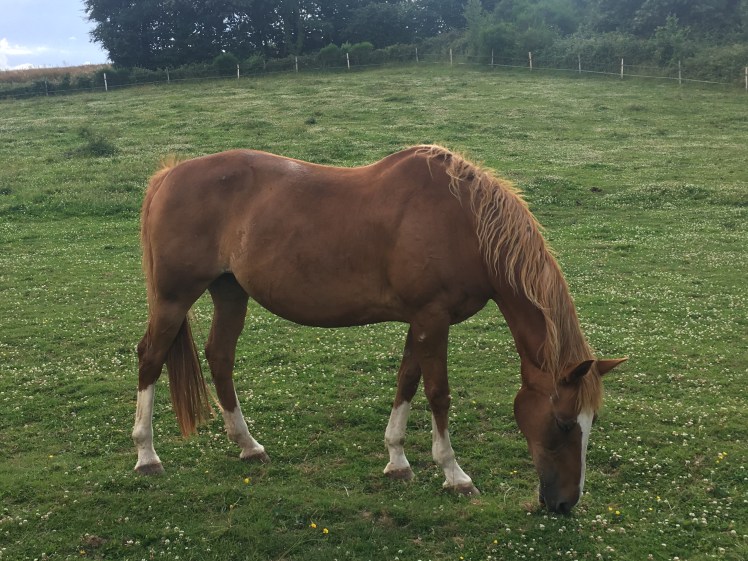 EE1A9277-E546-4B30-AD0C-B76C38572913