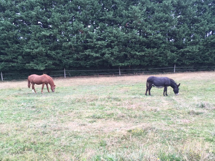 F118E197-F61A-4CAF-93EB-45213E3987B1