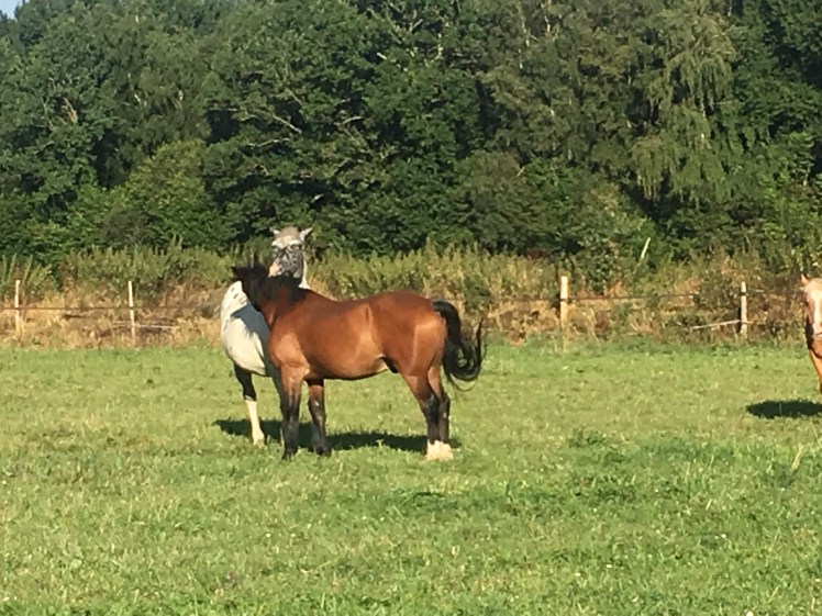 F7B1BAA3-4A40-429D-B6AA-02A572D3ACAE