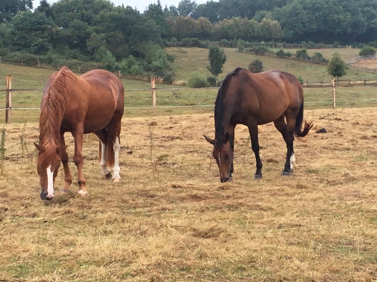 100198FC-4C0B-4A8F-8FC3-59DE8CB6B38A