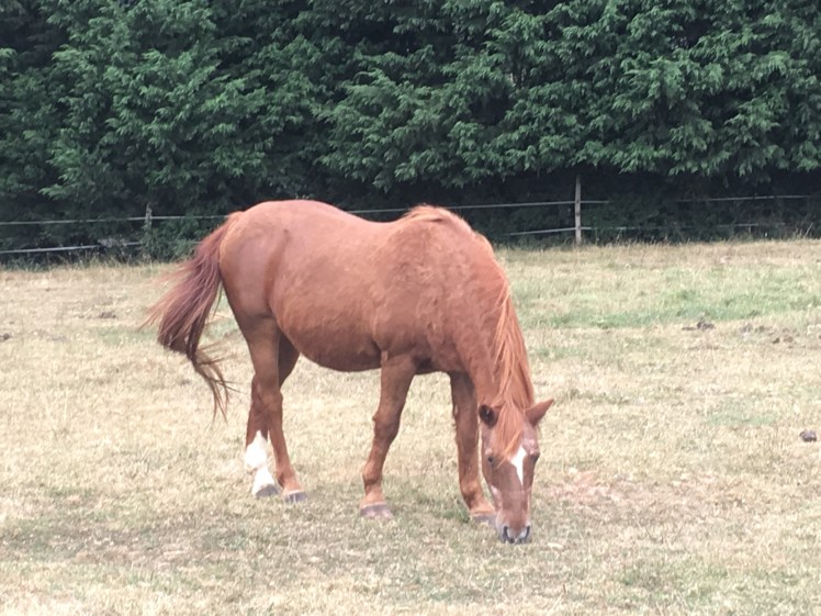 1FA5D14E-A66E-4F65-A0B7-40817440EB75