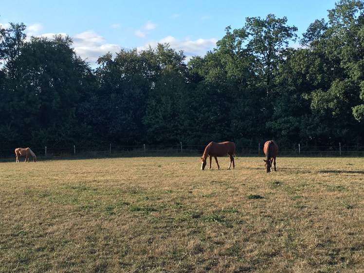 302ECFC3-CF0D-43EA-B18E-5DB7FBD8DE36