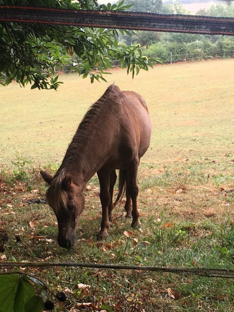 35614797-9813-46B5-986D-577B214A211A