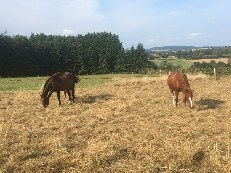 3EB4D7FC-07D6-440C-A32B-9F6AE5FC12A5