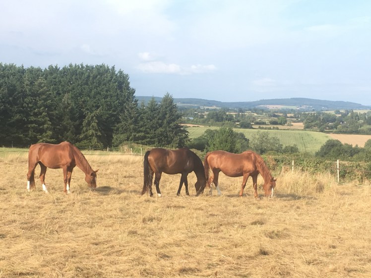 43E224CD-4CC5-4423-B308-ED203AC119E1