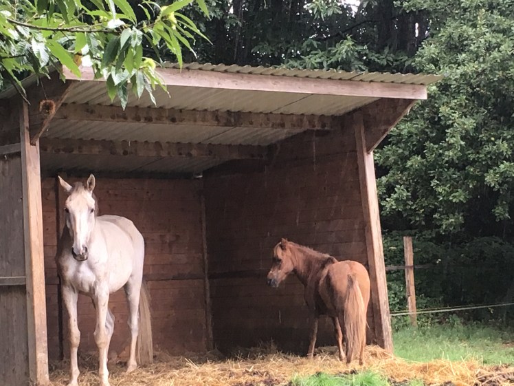 53366B7B-4629-484D-8BF8-D55084A86177