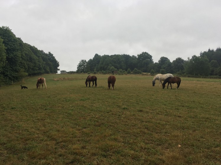 553EF34A-0DD2-4051-8F34-72D688388930