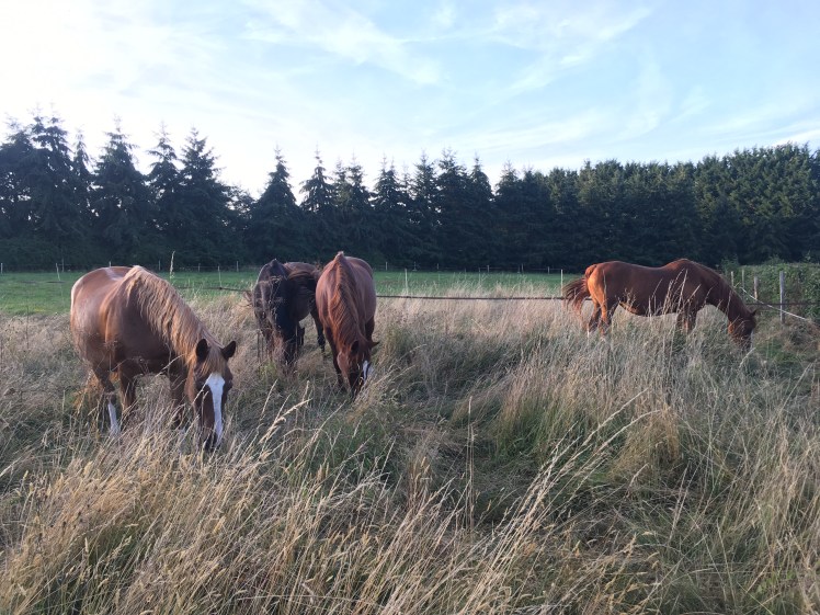 5B03DE13-6464-4C66-819E-34154CAD79C9