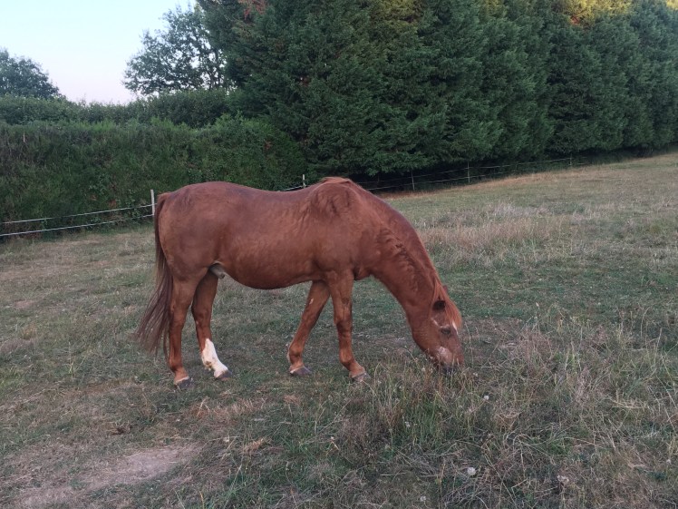 610002CC-BFA4-4FB4-BB22-9C6B47944EF5