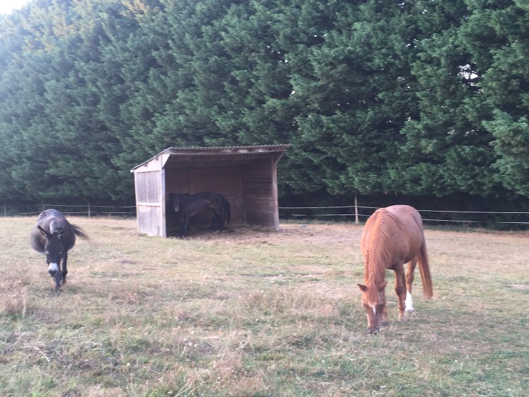 6695880B-616A-4F74-8B1B-2EA87C39266A