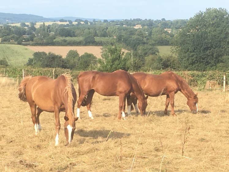 69297870-769C-4757-8C7B-393B1D980445