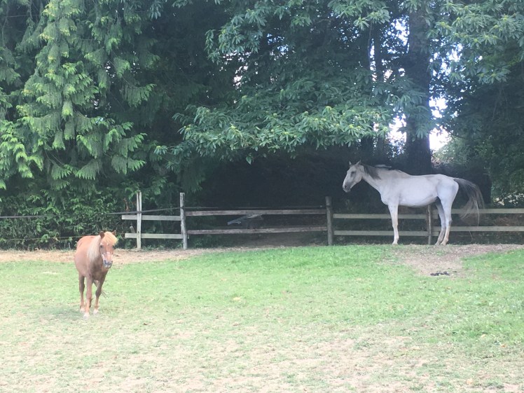 7C871A4B-1AB6-43CC-AC19-E4D9A9844DD8