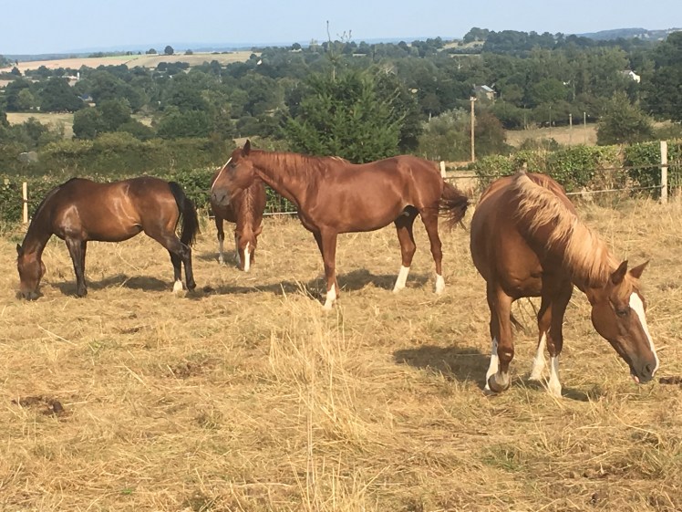 8AA81464-11C7-4D23-ADD1-86F917128CEF