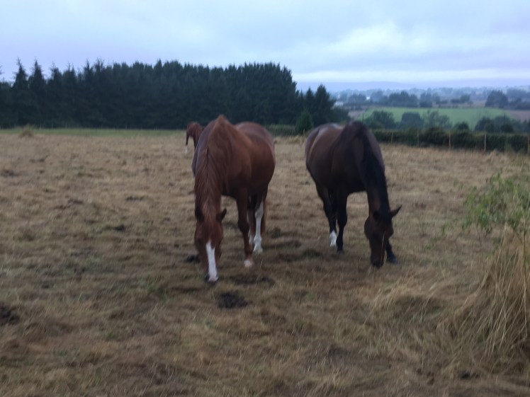 951A1F71-0E30-4A30-BF4F-700AD2462B0E