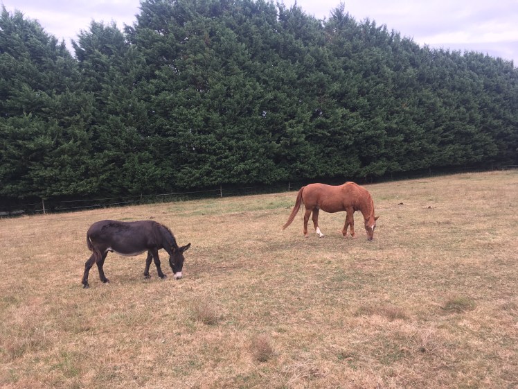 9839AB43-F411-4BFB-A162-4ADBD55EA51E