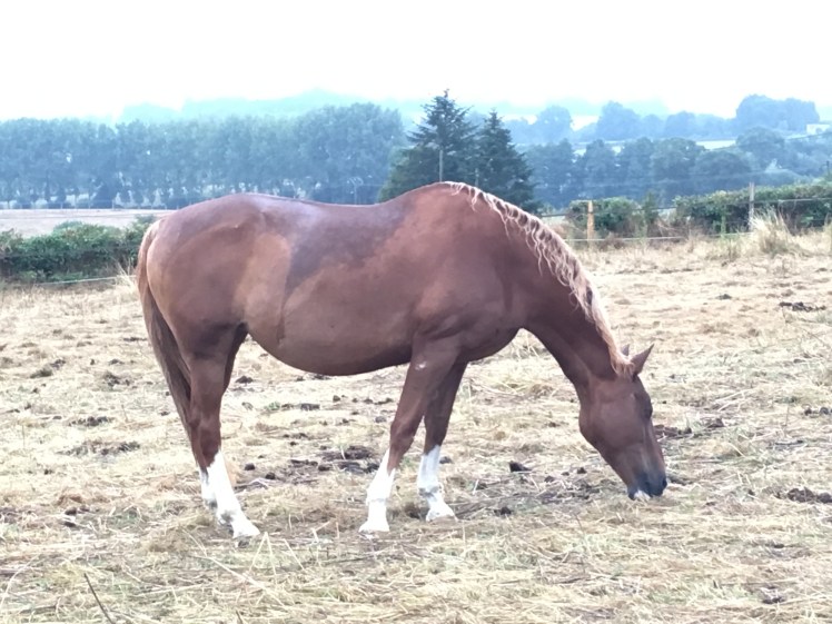 A4BFCDCC-7370-41A5-84AD-69FED59DCCA0