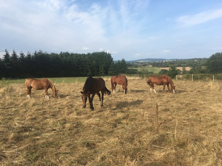 A719E8D2-A426-430F-B54B-744BAD8B3D26