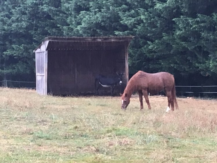 AE554534-33A4-4DB3-8CD7-9D6E585BBDB3