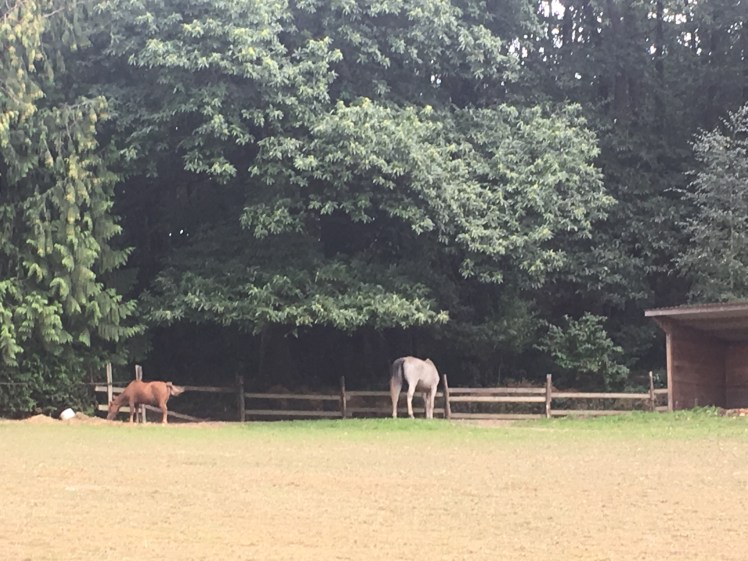 AF64D968-56FD-4CAD-BCF6-F9C98F9F28E8