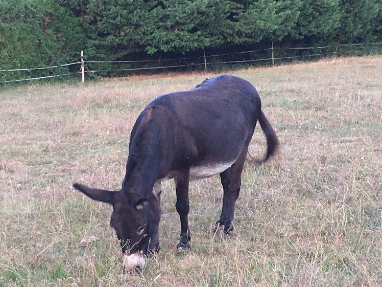 B72F071C-A97A-4329-847A-0B00D847B29A