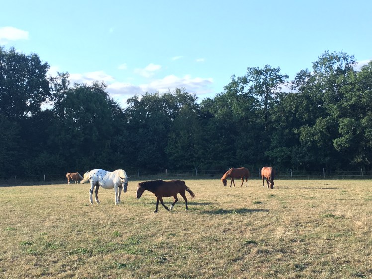 B7A72CF3-5F61-48F5-9BCD-F232B911C557