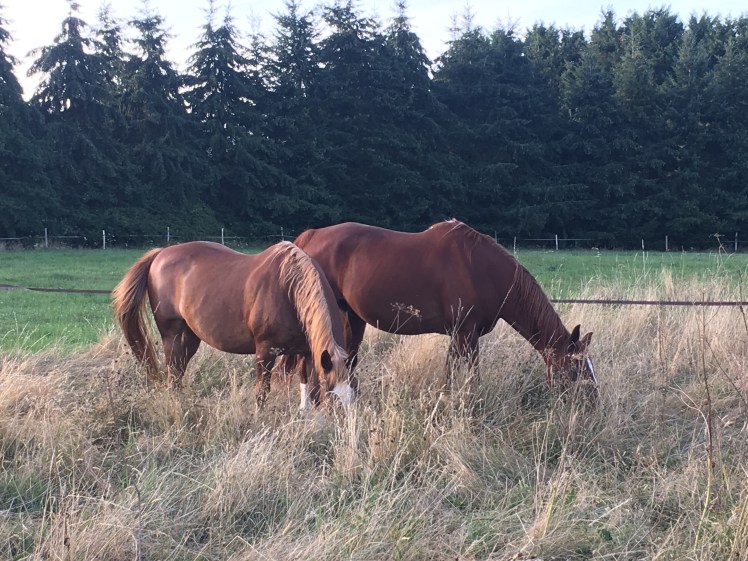 C1B6B15C-3EF1-46BE-8814-7C83EB0E5989