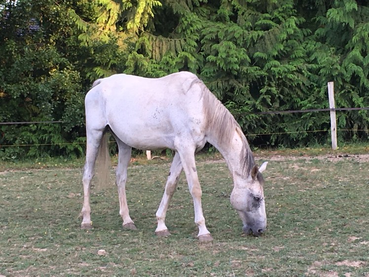 C3D72AC6-982C-4C2F-8799-1D0D51DD6572