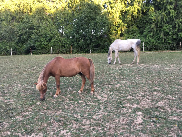 D08DA318-2697-4464-AE37-4766330F5AEE