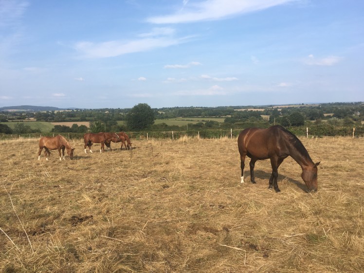 DB5A50F0-460D-4856-A580-937C1C40C909