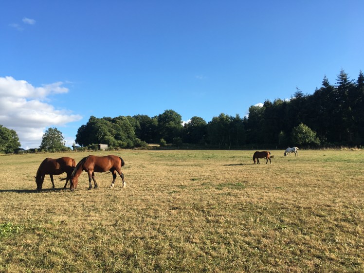 E335EC46-97F5-4BD7-AC3C-D2BF68FB767D