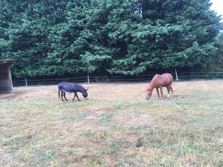 EB66DE0B-FD57-49A7-9309-140B8A6808B4